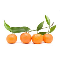 Clementine Con Foglia