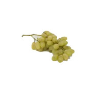 Uva Pizzutella