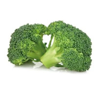 Broccoletti