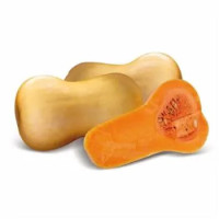 Zucca Baby