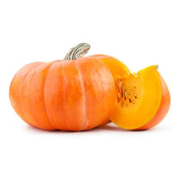 Zucca
