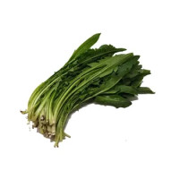 Cicoriella Di Campo