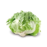 Lattuga Iceberg Gr. 300