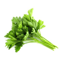 Prezzemolo