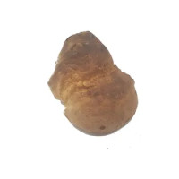 Pane Di Semola Tradizionale Altamurgia - Panificio Di Gesu'