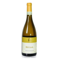 Caggiano Fiano Bechar Cl.75