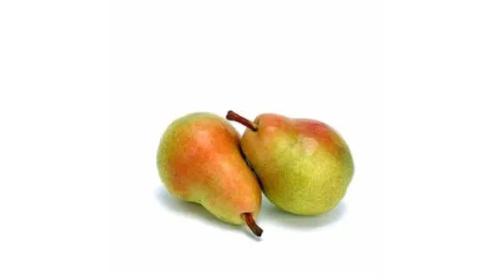 Pere Carmen Cal. 65/70