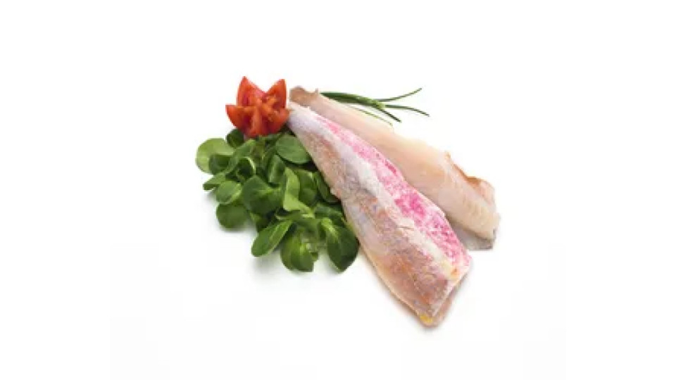 Filetto Gallinella