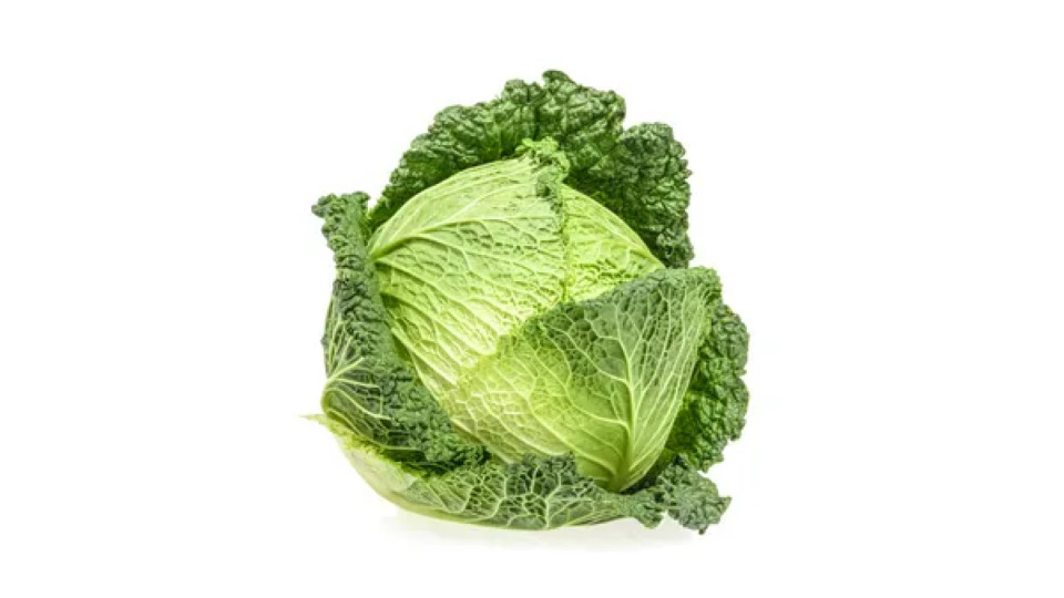 Cavolo Verza