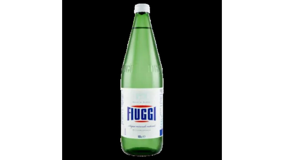 Fiuggi Acqua Minerale Naturale Oligominerale 100 CL