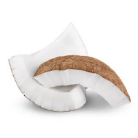 Cocco Fresco Pulito P.i.t.