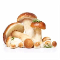 Funghi Pleos Sfusi