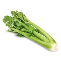Sedano
