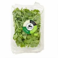 Alcenero Bio Rucola Gr 100