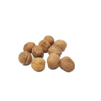 Sinisi Noci Gus.cile 34+ Kg10
