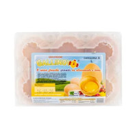 Gallinovo Uova Fresche X6 L