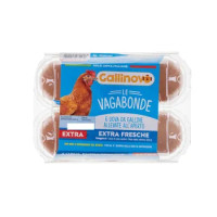 Gallinovo Extra Fresche Allevate All' Aperto X6