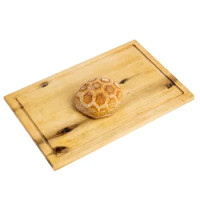 Panini Tartarughe Integrali