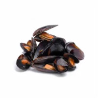 Cozze Di Gaeta