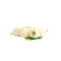 AGLIO BIO 150G.