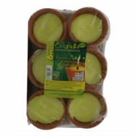 Citronella 6 Vasetti Terracotta Dm.6