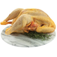 CAPPONE REALE TESTA E ZAMPE FILIERA IL GIGANTE