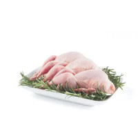 Quaglia Sarda