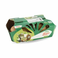 Kiwi Zespri Gr 500