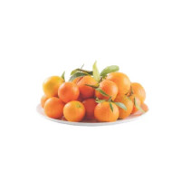 Clementine Foglia