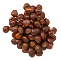 Castagne