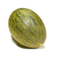 Meloni Verdi