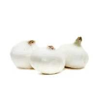 Cipolle Bianche Fresche