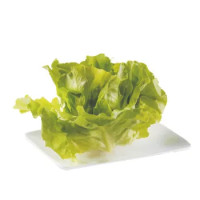 Insalata Romanella