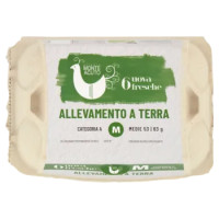 Avicola Monte Acuto 6 Uova Fresche Allevamento a Terra M