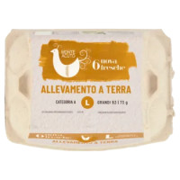 Avicola Monte Acuto 6 Uova Fresche Allevamento a Terra L