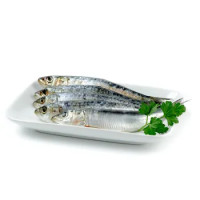 Sardina