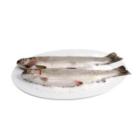 Trota Iridea Salmonta Al Kg.