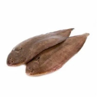 Sogliola