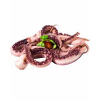 Tentacoli Di Totano