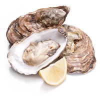 Ostrica Concava Al Kg.