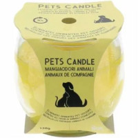 Candela Mangiaodori Fumo E Tabacco Aladino
