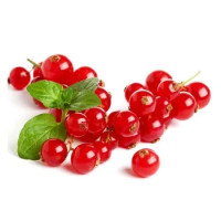 Ribes Rosso Gr.125