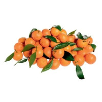 Clementine Nadorcott In Foglia Spagna Cal. 3-4
