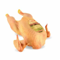 POLLO BUSTO DALLE LANGHE SENZA ANTIBIOTICI ORA
