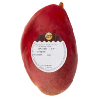 Selex Saper Di Sapori Mango 380 g