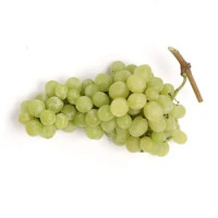 UVA ITALIA BIANCA