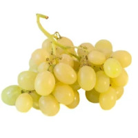 UVA BIANCA ITALIA DI CANICATTI' IGP