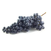 Uva Nera Palieri 