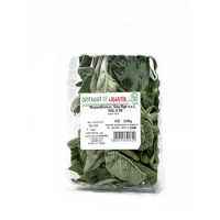 SALVIA GR.40