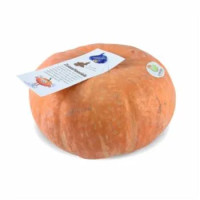 ZUCCA NOCCIOLA PIEMONTE